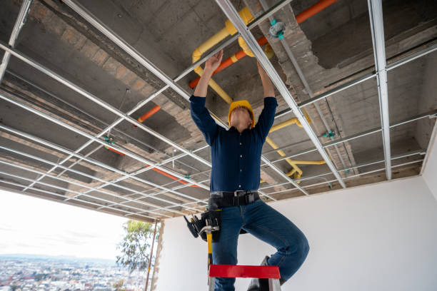 Best Affordable Plumbing Services  in Eastpointe, MI